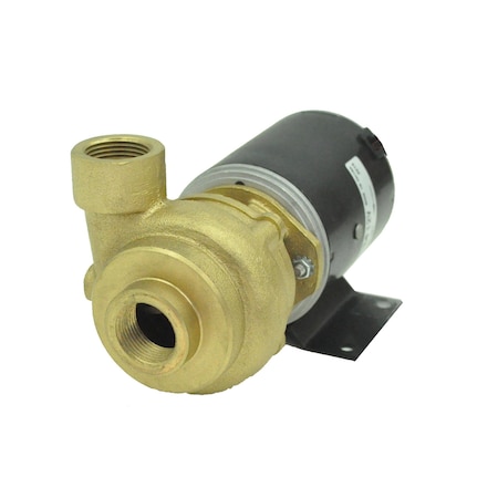 Amt Pump 0.75-in. Cast Bronze Marine Pump w/ 12V DC Motor 4861-97